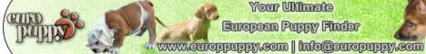 Europuppy! Your Ultimate European Puppy Finder